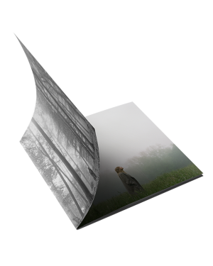 1. the in the trees Edition Deluxe CD (Clean)