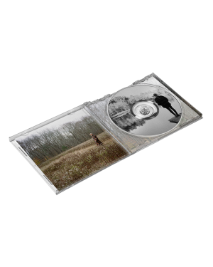 evermore album deluxe edition CD (clean version)